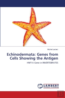 Bertrand.pt - Echinodermata