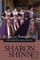 Echo In Amethyst