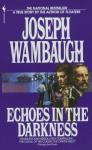 Echoes In The Darkness