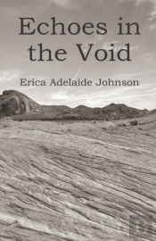 Echoes In The Void