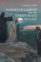 Echoes Of Lament In The Christology Of Luke'S Gospel