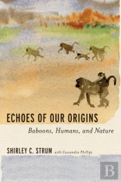 Echoes Of Our Origins