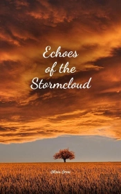Echoes Of The Stormcloud