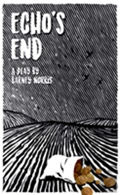 Echo'S End
