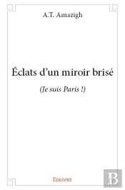 Eclats D'Un Miroir Brise