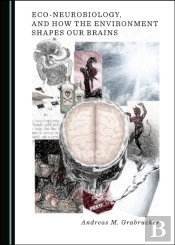 Eco-Neurobiology, And How The Environment Shapes Our Brains