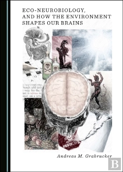 Bertrand.pt - Eco-Neurobiology, And How The Environment Shapes Our Brains
