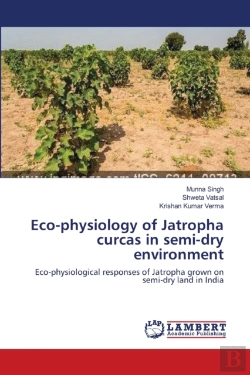 Bertrand.pt - Eco-Physiology Of Jatropha Curcas In Semi-Dry Environment