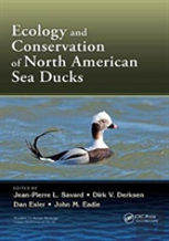 Ecology And Conservation Of North American Sea Ducks