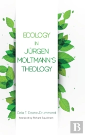 Ecology In Jurgen Moltmann'S Theology