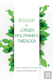 Ecology In Jurgen Moltmann'S Theology