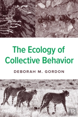 Bertrand.pt - Ecology Of Collective Behavior