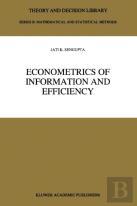 Econometrics Of Information And Efficiency