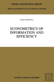 Econometrics Of Information And Efficiency