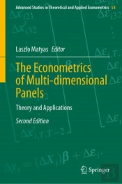 Econometrics Of Multi-Dimensional Panels