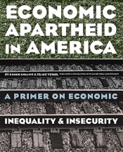 Economic Apartheid In America