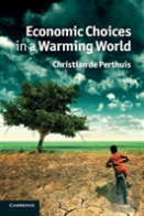 Economic Choices In A Warming World