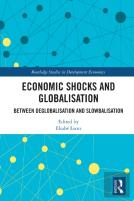 Economic Shocks And Globalisation