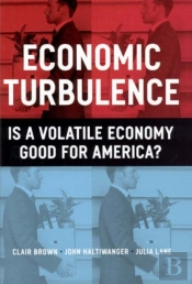 Economic Turbulence
