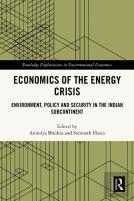 Economics Of The Energy Crisis