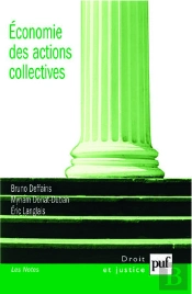 Économie Des Actions Collectives
