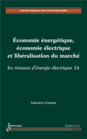 Économie Énergétique, Économie Électrique Et Libéralisation Du Marché : Les Réseaux D'Énergie Électrique 3a