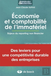 Economie Et Comptabilite De L'Immateriel Enjeux Du Reporting Non Financier