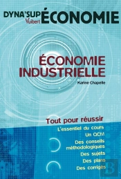 Économie Industrielle