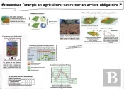 Économiser L'Energie En Agriculture : Un Retour En Arrière Obligatoire ?