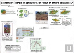 Bertrand.pt - Économiser L'Energie En Agriculture : Un Retour En Arrière Obligatoire ?