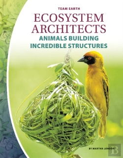 Bertrand.pt - Ecosystem Architects