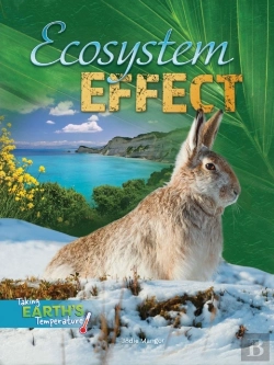 Bertrand.pt - Ecosystem Effect