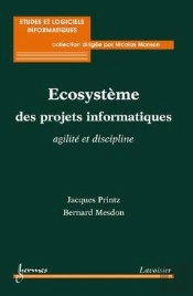 Ecosysteme Des Projets Informatiques Agilite Et Discipline