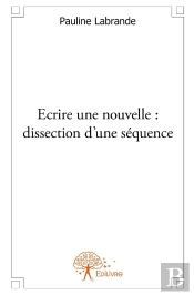 Écrire Une Nouvelle ; Dissection D'Une Séquence