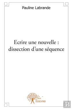 Bertrand.pt - Écrire Une Nouvelle ; Dissection D'Une Séquence