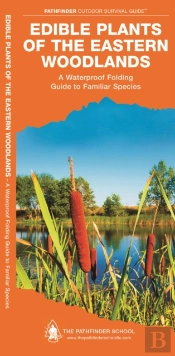 Edible Plants Of The Eastern Woodlands