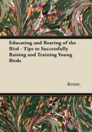 Educating And Rearing Of The Bird - Tips To Successfully Raising And Training Young Birds