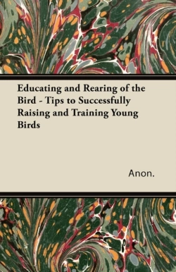 Bertrand.pt - Educating And Rearing Of The Bird - Tips To Successfully Raising And Training Young Birds