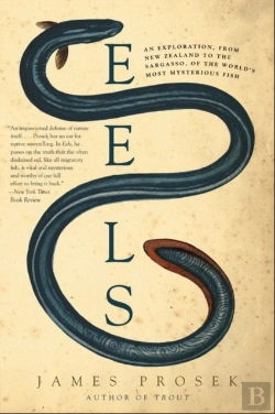 Bertrand.pt - Eels