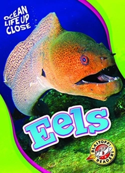 Bertrand.pt - Eels