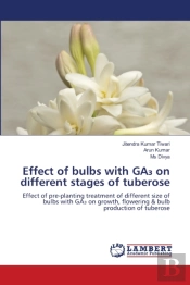 Effect Of Bulbs With Ga₃ On Different Stages Of Tuberose