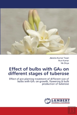 Bertrand.pt - Effect Of Bulbs With Ga₃ On Different Stages Of Tuberose