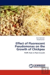 Effect Of Fluorescent Pseudomonas On The Growth Of Chickpea