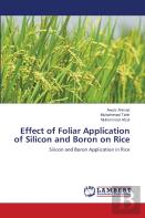 Effect Of Foliar Application Of Silicon And Boron On Rice