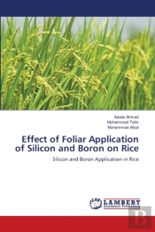 Effect Of Foliar Application Of Silicon And Boron On Rice