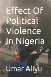 Effect Of Political Violence In Nigeria