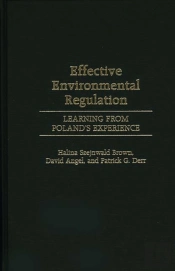 Effective Environmental Regulation
