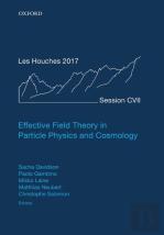 Effective Field Theory In Particle Physics And Cosmology