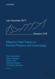 Effective Field Theory In Particle Physics And Cosmology
