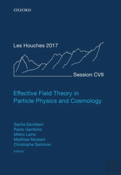 Bertrand.pt - Effective Field Theory In Particle Physics And Cosmology